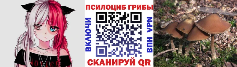 Галлюциногенные грибы ЛСД  Купить где  Каменка 